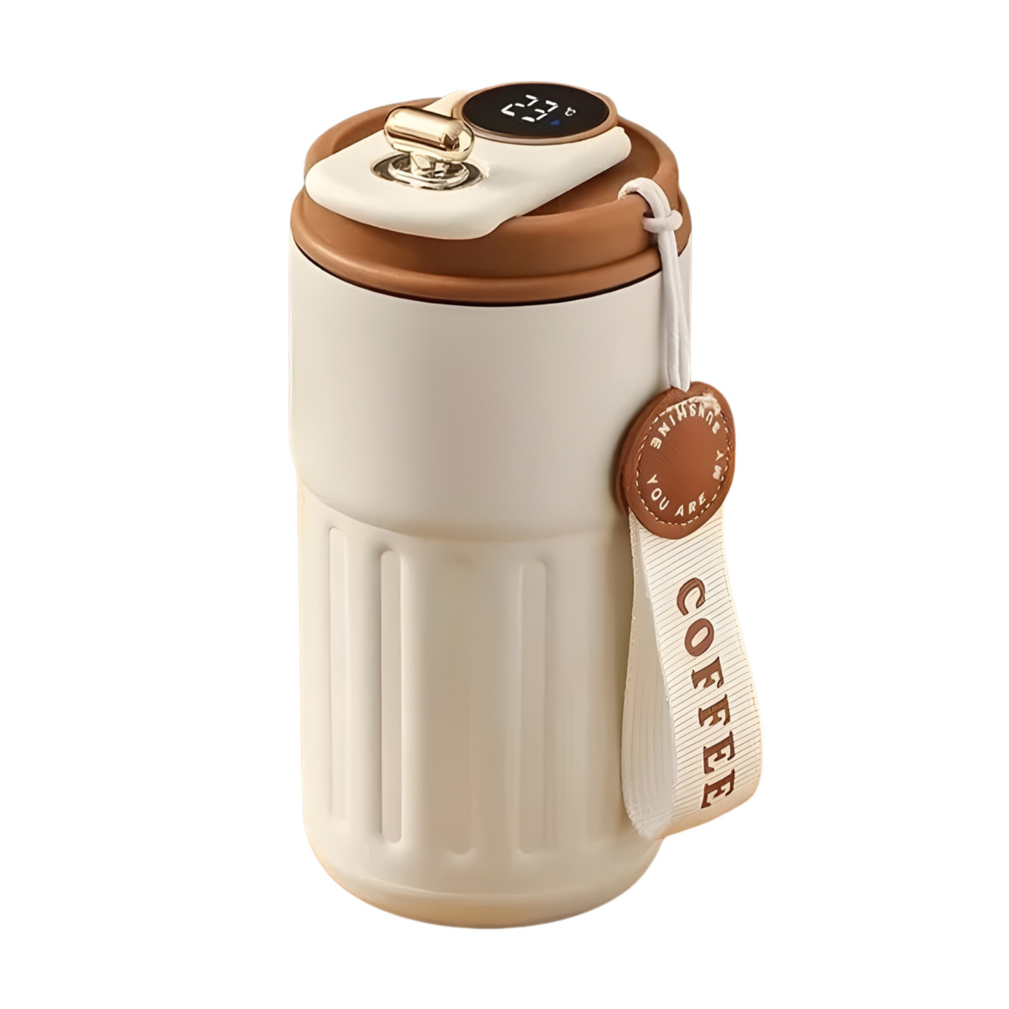 Termo inteligente con pantalla led