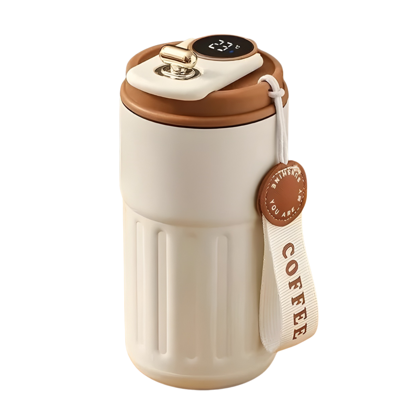 Termo inteligente con pantalla led